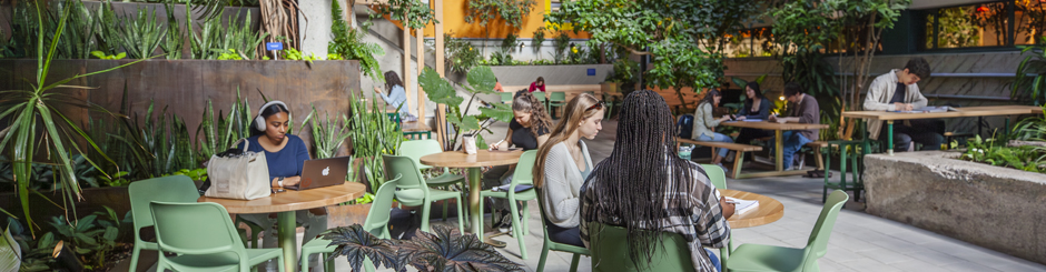 Plusieurs étudiantes et étudiants qui étudient et socialisent dans le Jardin du Collège de Maisonneuve.