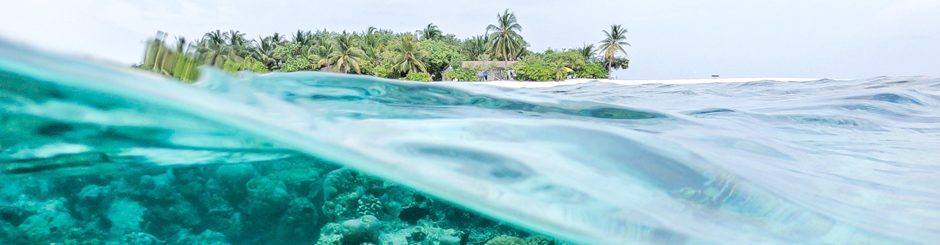 Vue sous l'eau ainsi que vue au large par dessus l'eau. Au loin une ile avec des palmiers. Cette image représente le Double DEC - Environnement et enjeux planétaires.