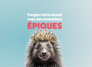 Image promotionnelle du salon des emploi de la formation continue avec un porc épique.